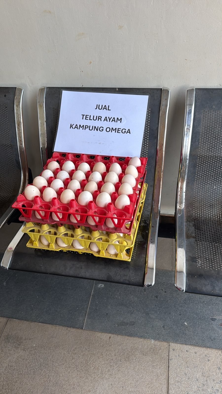 Foto telur ayam kampung omega