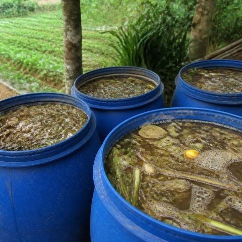 Pembuatan pupuk